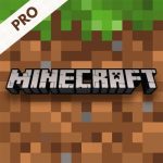 Minecraft Pro